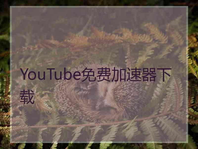 YouTube免费加速器下载