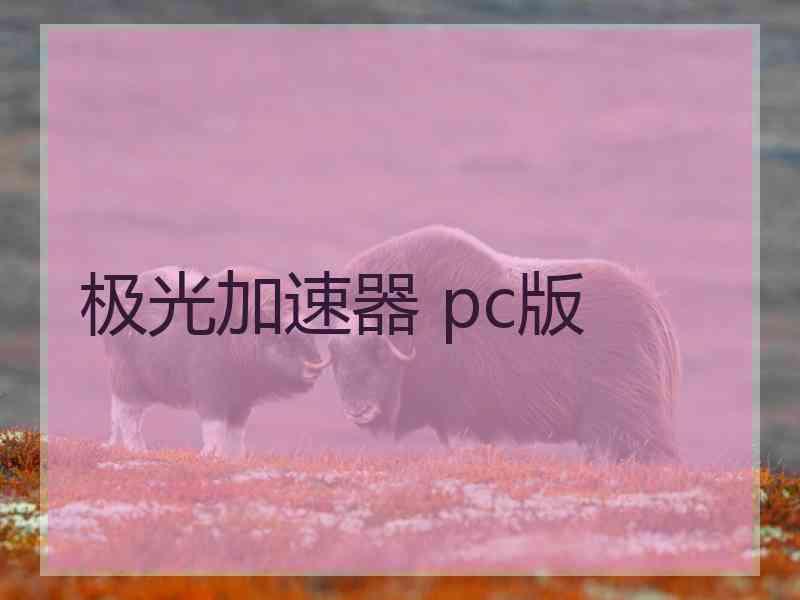 极光加速器 pc版