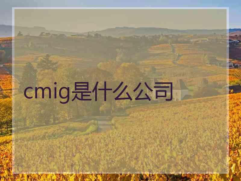 cmig是什么公司