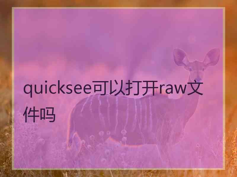 quicksee可以打开raw文件吗