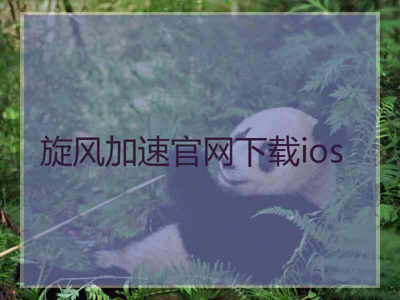 旋风加速官网下载ios