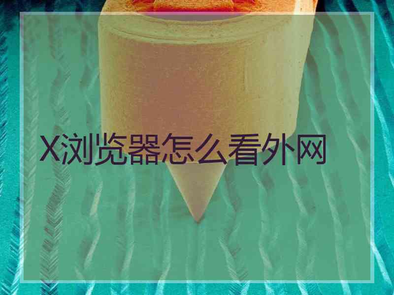 X浏览器怎么看外网