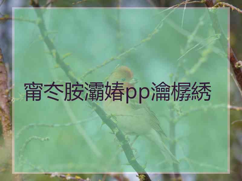 甯冭胺灞媋pp瀹樼綉