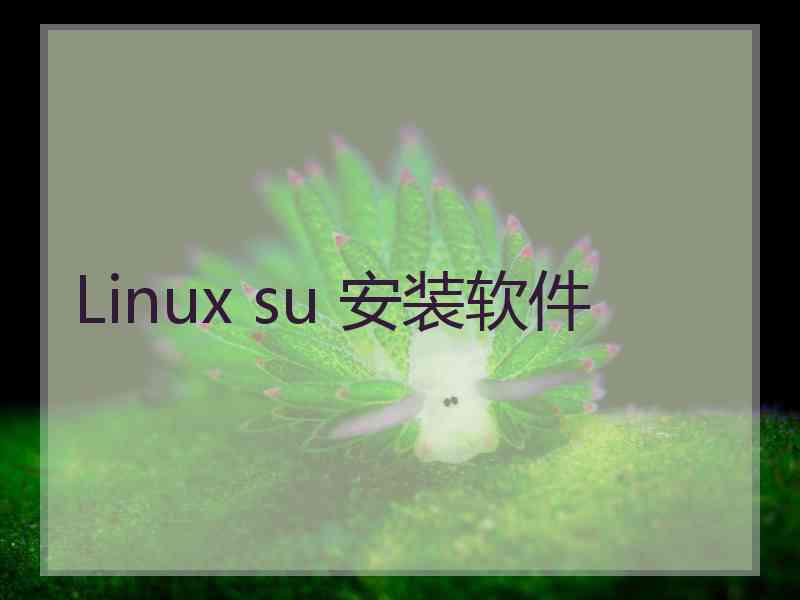 Linux su 安装软件