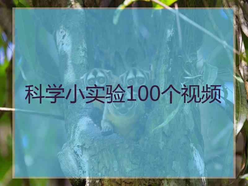 科学小实验100个视频