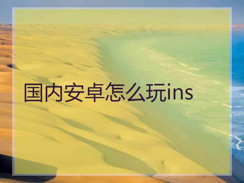 国内安卓怎么玩ins