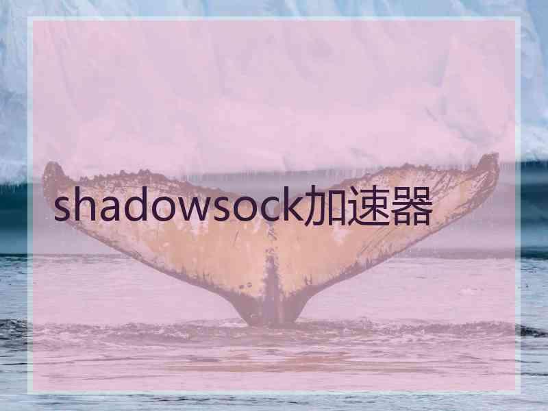 shadowsock加速器