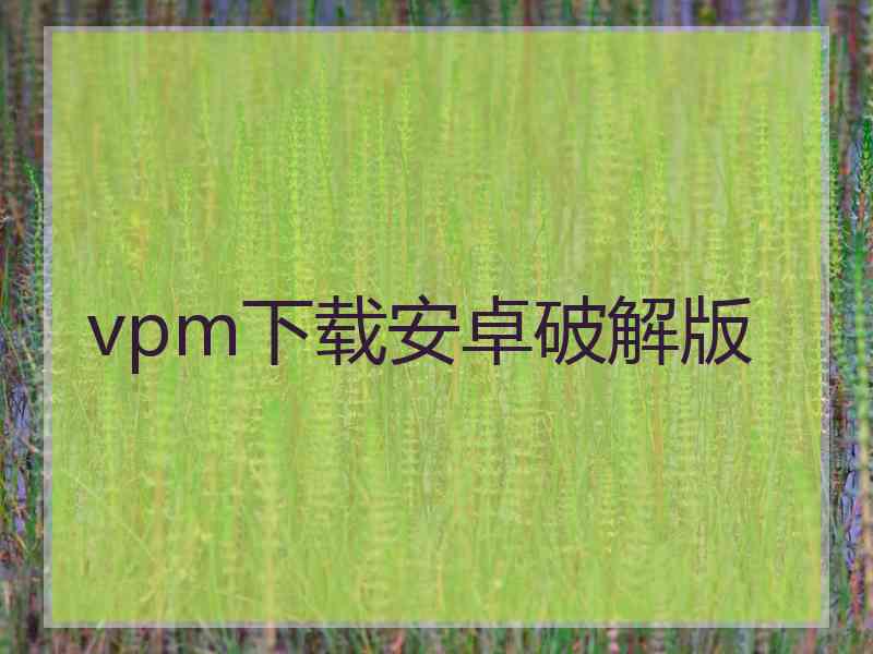 vpm下载安卓破解版