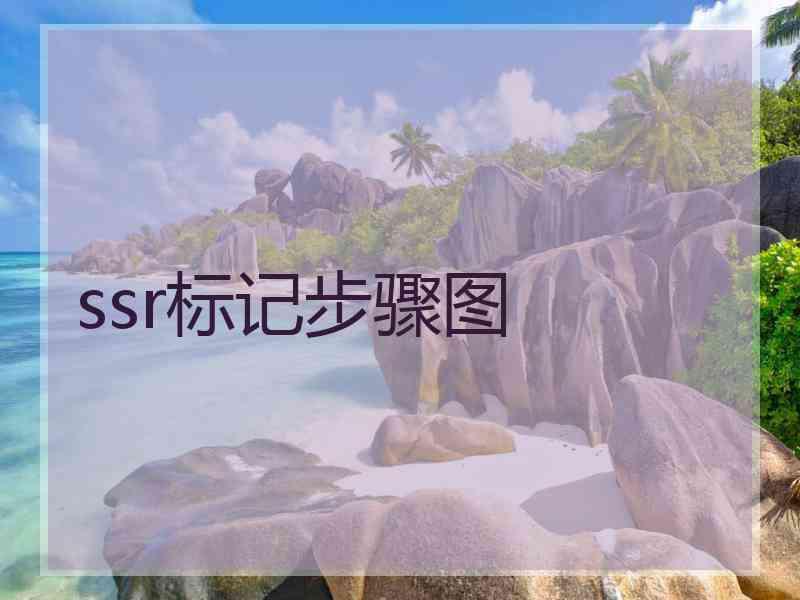 ssr标记步骤图