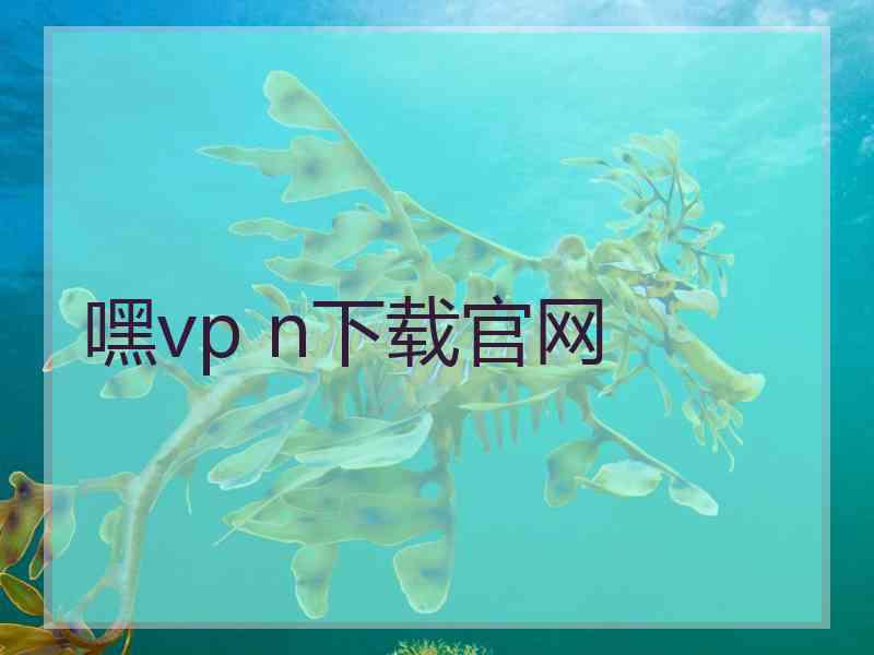 嘿vp n下载官网