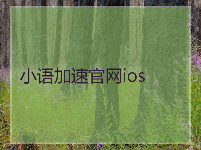 小语加速官网ios