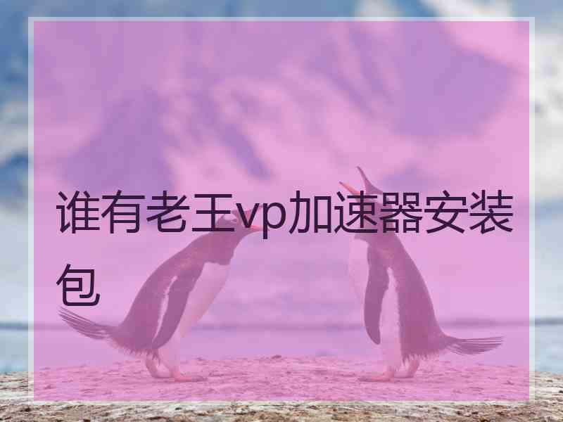 谁有老王vp加速器安装包