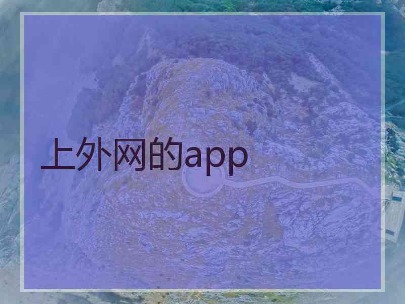 上外网的app