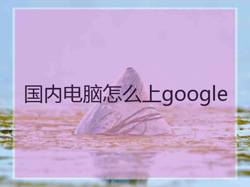 国内电脑怎么上google