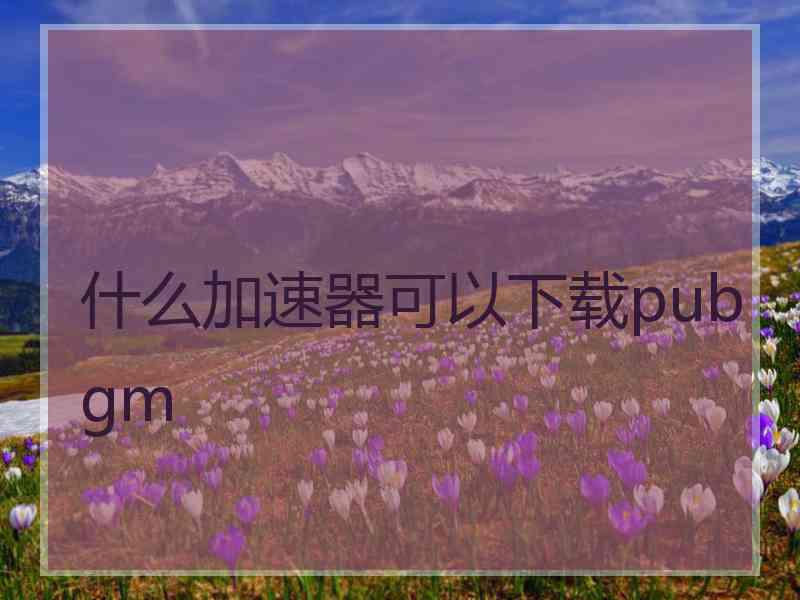 什么加速器可以下载pubgm