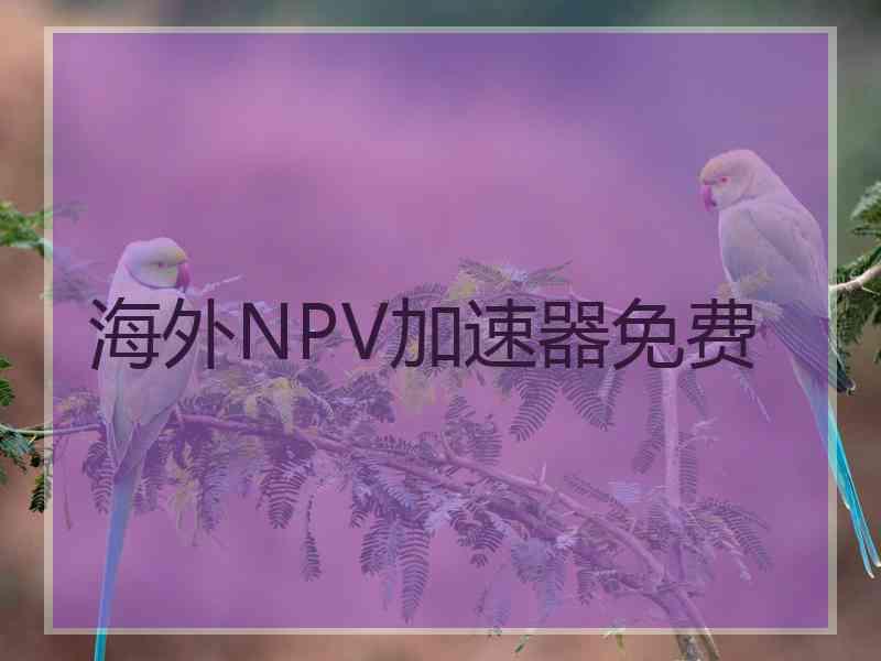 海外NPV加速器免费