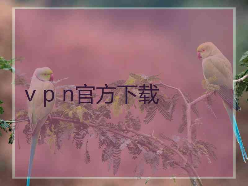 v p n官方下载