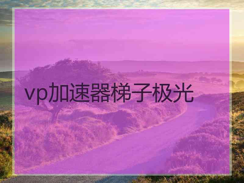 vp加速器梯子极光