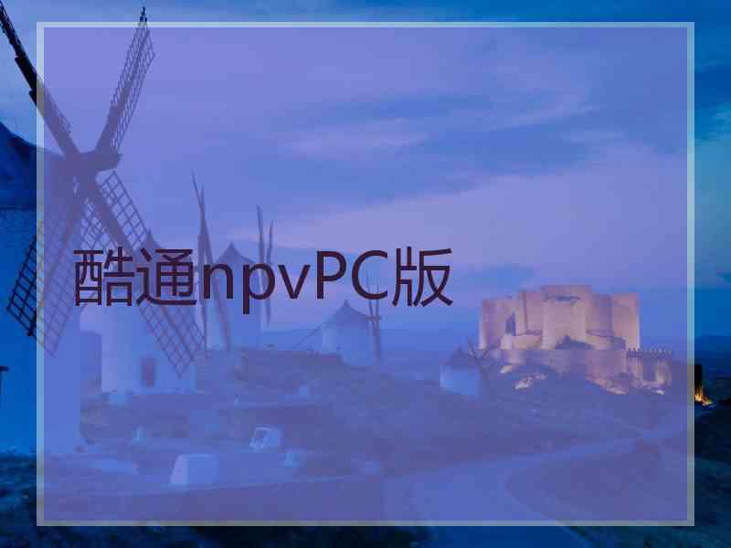 酷通npvPC版