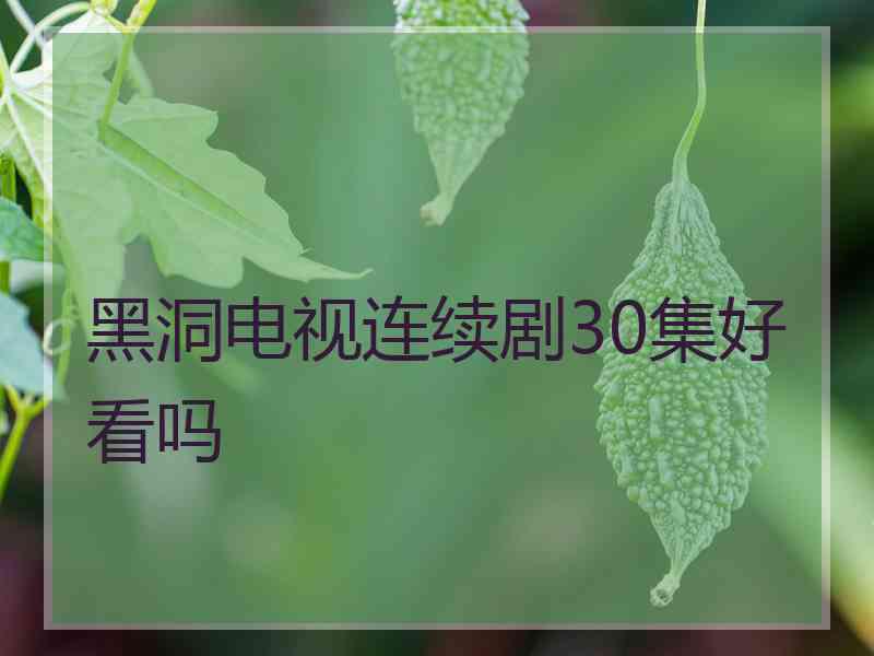 黑洞电视连续剧30集好看吗