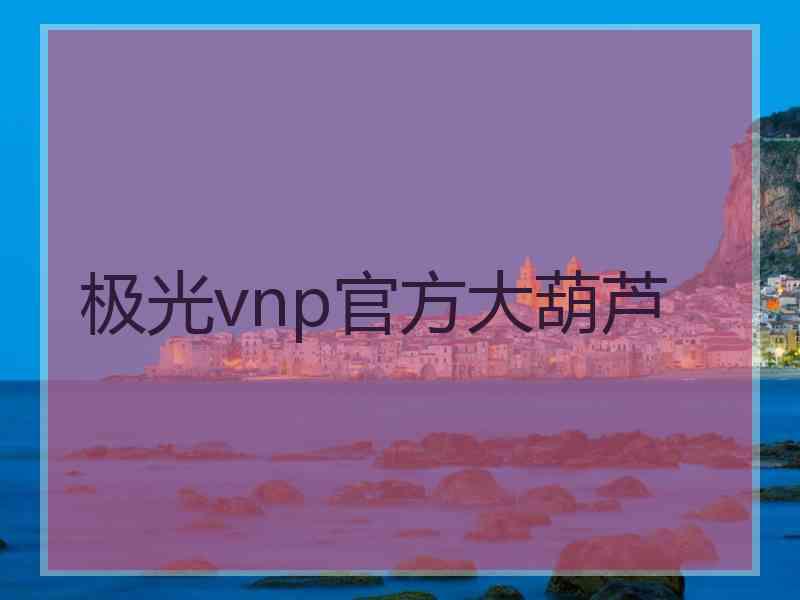 极光vnp官方大葫芦