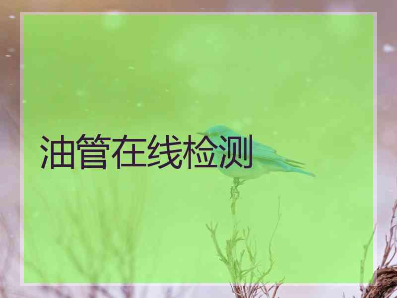 油管在线检测