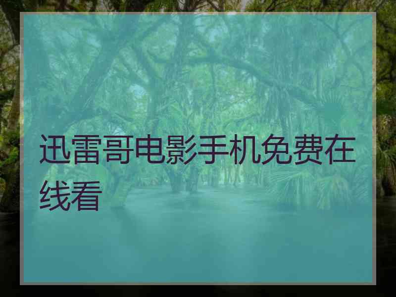 迅雷哥电影手机免费在线看