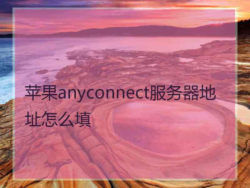 苹果anyconnect服务器地址怎么填