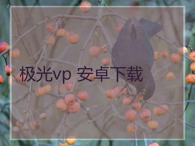 极光vp 安卓下载