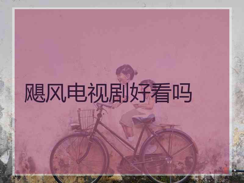 飓风电视剧好看吗