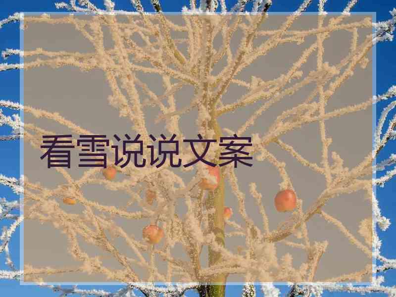 看雪说说文案