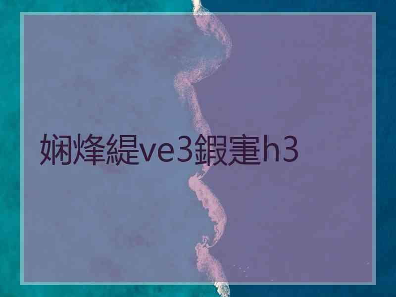 娴烽緹ve3鍜寁h3