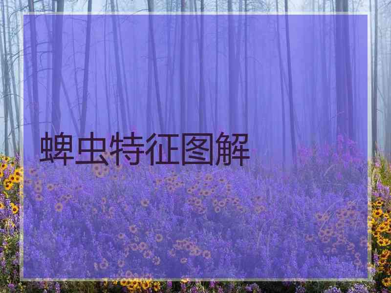 蜱虫特征图解