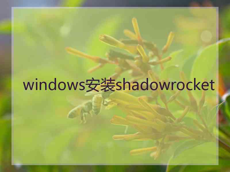 windows安装shadowrocket