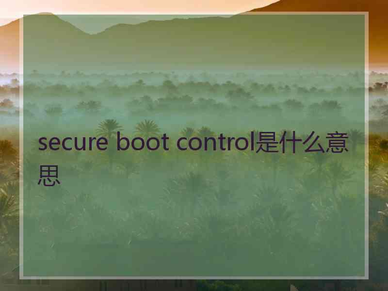 secure boot control是什么意思