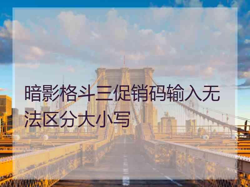 暗影格斗三促销码输入无法区分大小写