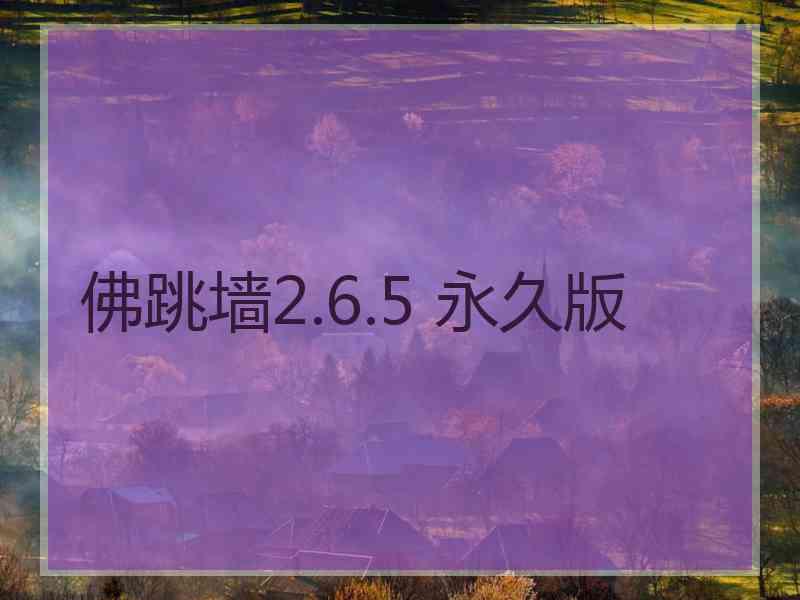 佛跳墙2.6.5 永久版