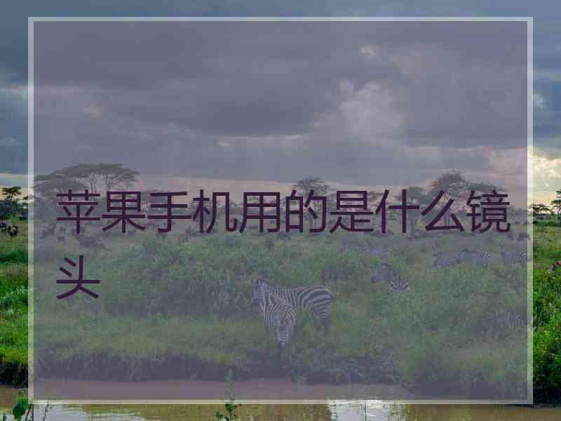 苹果手机用的是什么镜头