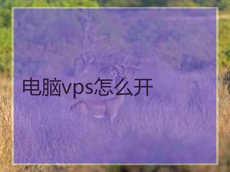 电脑vps怎么开