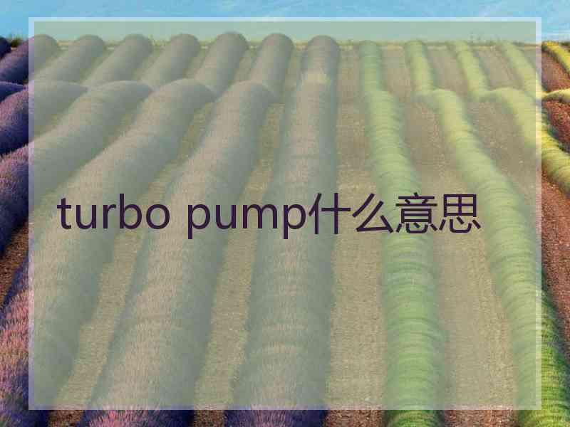 turbo pump什么意思