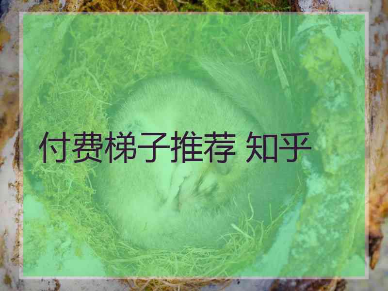 付费梯子推荐 知乎