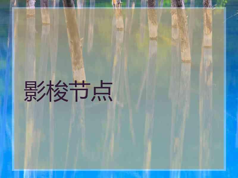 影梭节点