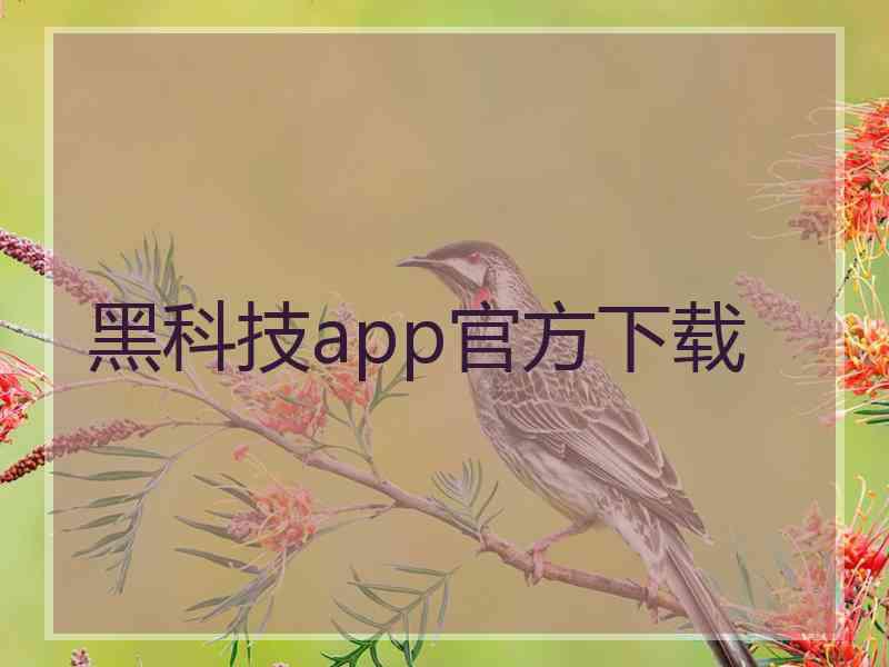 黑科技app官方下载