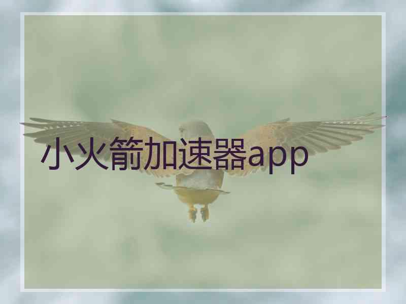 小火箭加速器app