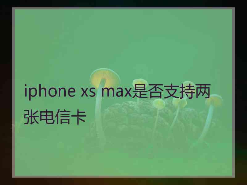 iphone xs max是否支持两张电信卡