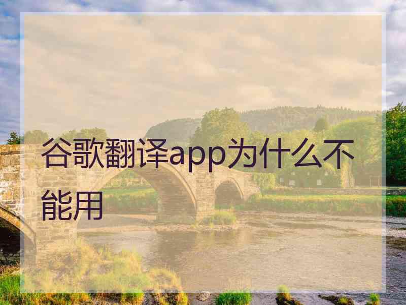 谷歌翻译app为什么不能用