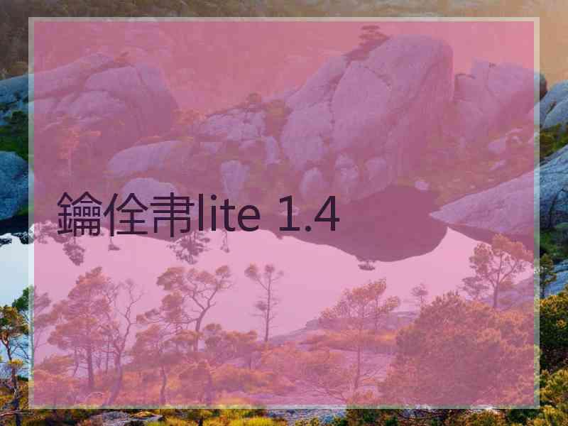 鑰佺帇lite 1.4