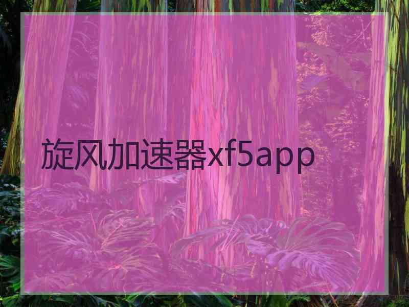 旋风加速器xf5app