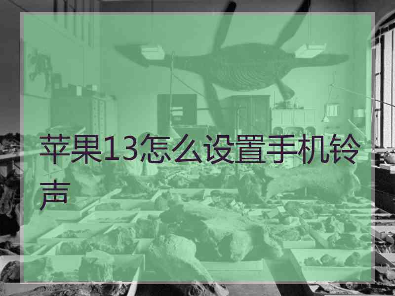 苹果13怎么设置手机铃声