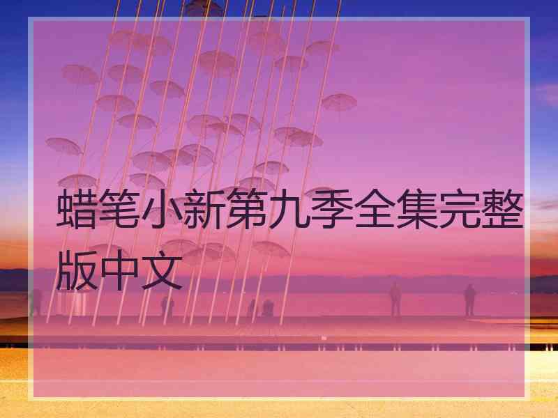 蜡笔小新第九季全集完整版中文